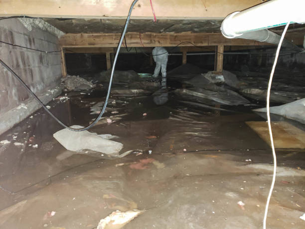 Best Flood Cleanup and Water Removal in Prior Lake, MN